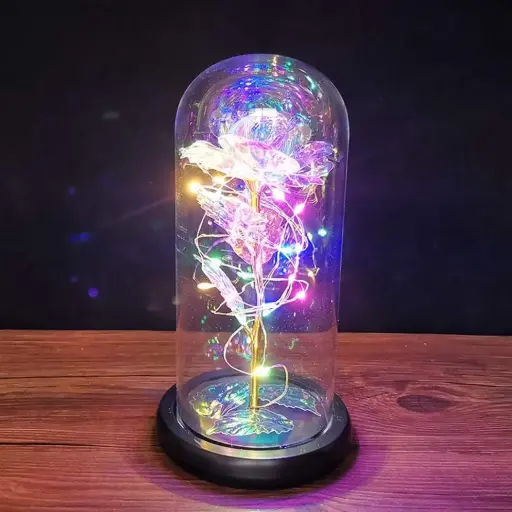 Boxoon LED Glass Dome Creative Desktop Ornament Light up Dome for Home Decor Glass Dome Ornaments for Table